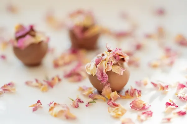 Bet9 Kasino Android/iOS Aplikácia